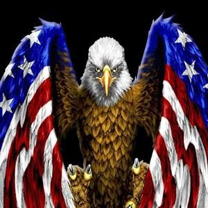 Meet your Posher, Trey